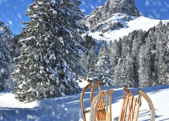 Urlaubstage In By Interhome Davos